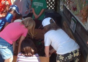 Worm Composting at School