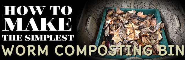 How-to-Make-the-Simplest-Worm-Composting-Bin