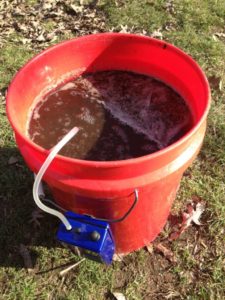 Worm Compost Tea