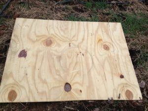 Board over the in ground worm compost system