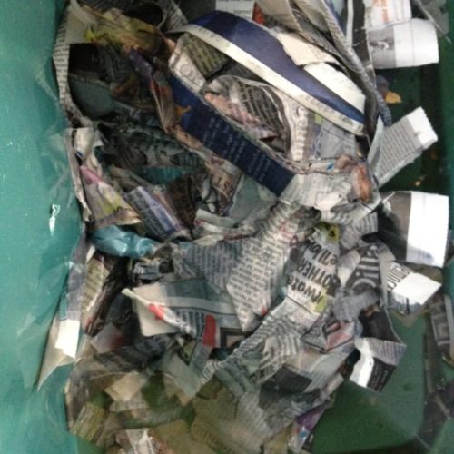 Worm Composting Pictures Worm Composting Headquarters