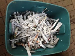 Shredded Newspaper in a Worm Composting Bin
