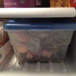 Freezer food scrap storage