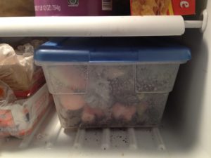 Freezer food scrap storage