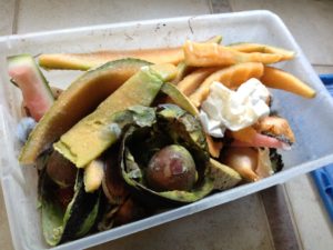 Store your Food scraps in the freezer until you are ready to feed your worms