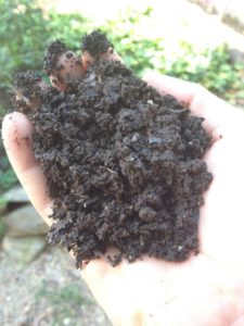 A Handful of Vermicompost