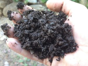 A Handful of Worm Castings