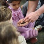 Worm Composting in the Classroom