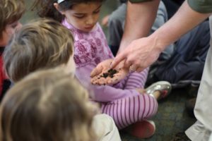 Worm Composting in the Classroom