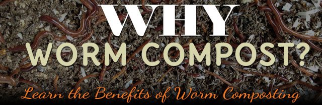 Why-Worm-Compost
