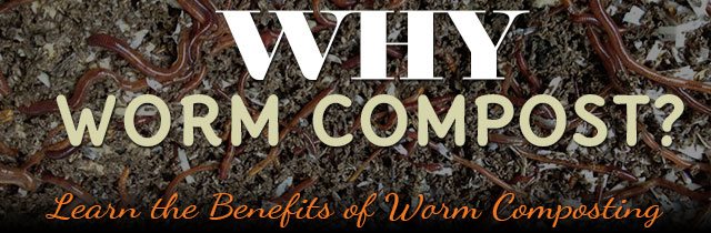 Why-Worm-Compost