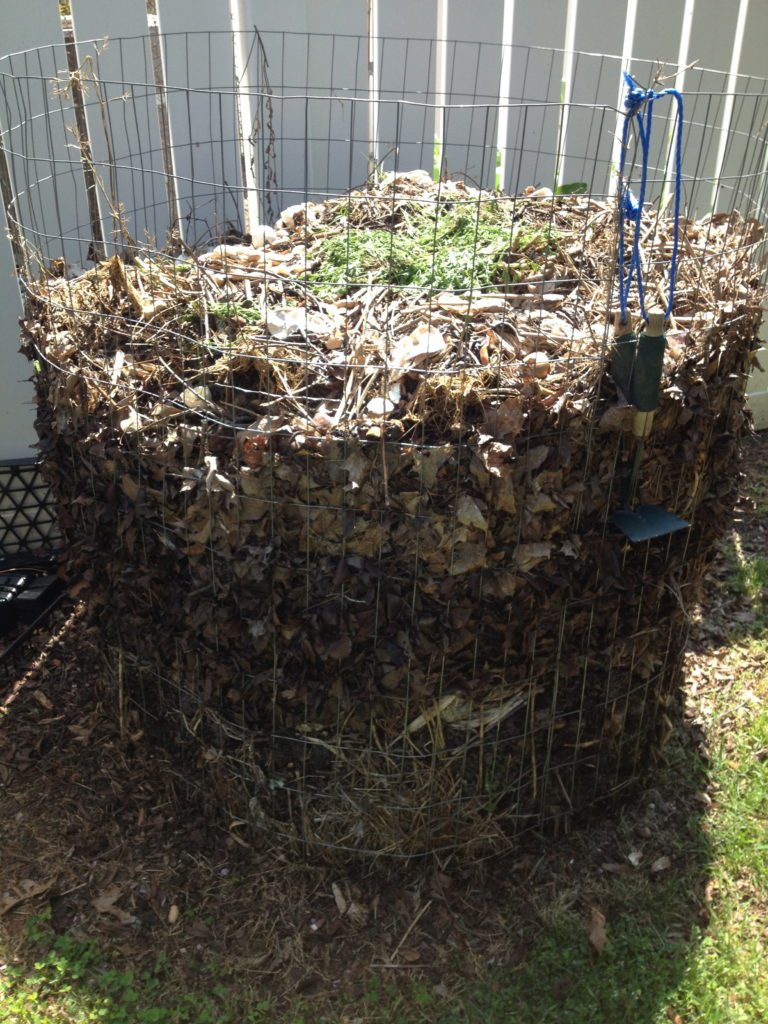 Hot Compost Pile