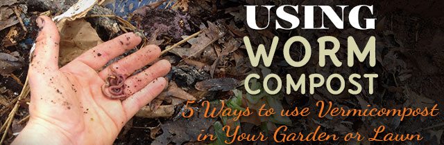 Using-Worm-Compost