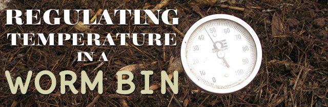 Regulating-Temperature-in-a-Worm-Bin