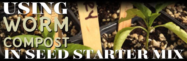 Using-Worm-Compost-in-Seed-Starter-Mix