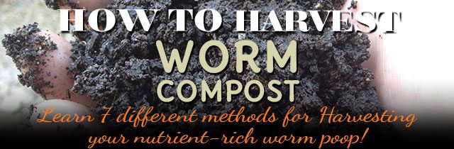 How-To-Harvest-Worm-Compost