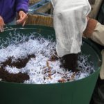 Adding worm bin bedding