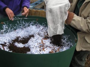 Adding worm bin bedding