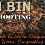 Worm Bin Troubleshooting