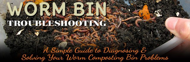 Worm-Bin-Troubleshooting