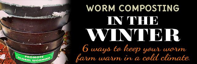 Worm-Composting-in-the-Winter