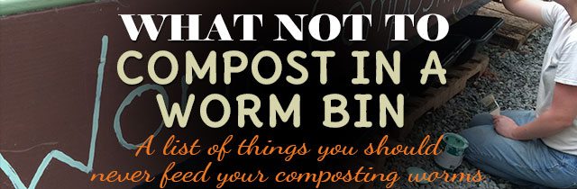 What-Not-to-Compost-in-a-Worm-Bin