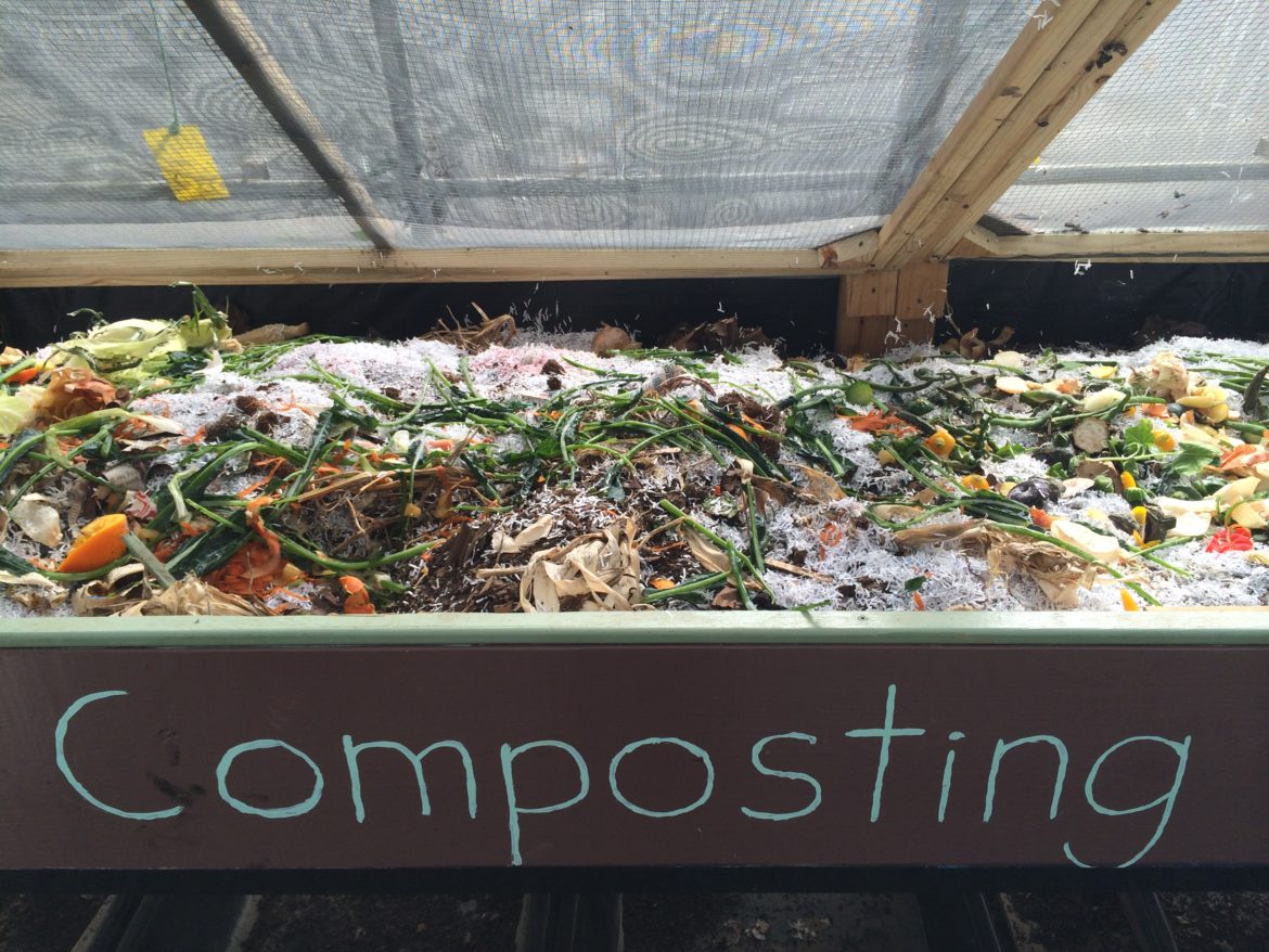 Video: Feeding large flow through worm bins – Worm Composting Headquarters