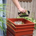 Can you add grass clippings to a worm bin?